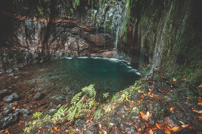 25 Fountains Levada: Hiking Tour in Madeira Rabaçal Valley (PR6) - Your guide and group size: why small matters on crowded days
