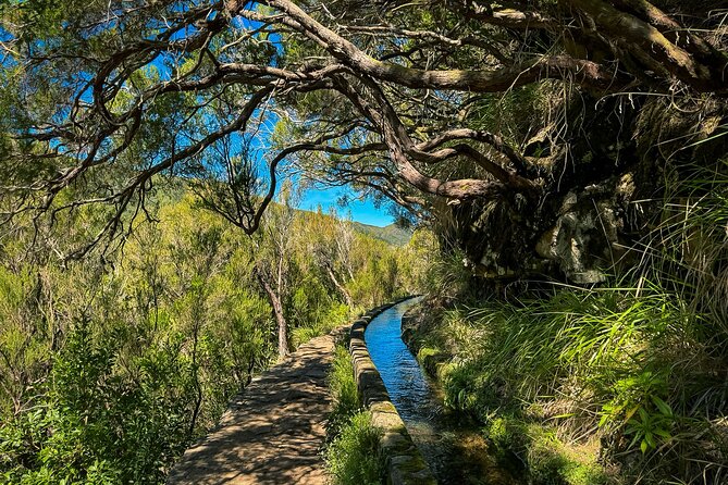 25 Fountains Levada: Hiking Tour in Madeira Rabaçal Valley (PR6) - Pickup, minivan comfort, and the real start time at 8:30