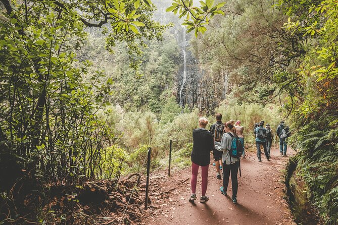 25 Fountains Levada: Hiking Tour in Madeira Rabaçal Valley (PR6) - Is it worth $52.87? The value math that matters