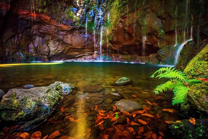 "25 Fountains" Walk / Lost In The Beautiful Forest - Key things to know before you go