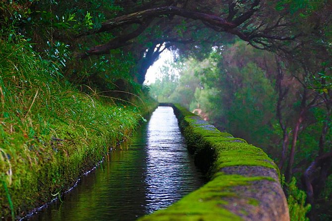 "25 Fountains" Walk / Lost In The Beautiful Forest - The levada rhythm: downhill walking, steps, and narrow trail moments