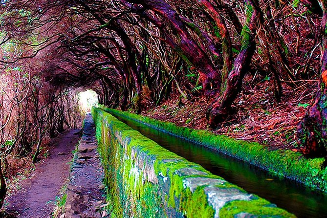 "25 Fountains" Walk / Lost In The Beautiful Forest - The 25 Fontes payoff: springs over a cliff into a small lake
