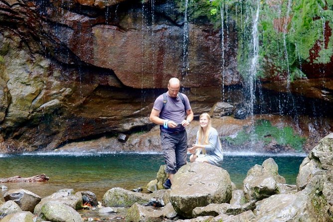 "25 Fountains" Walk / Lost In The Beautiful Forest - Price and the entrance fee you must budget