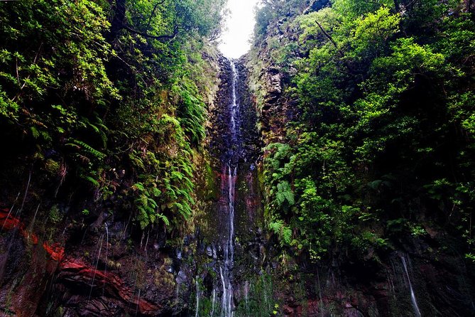 "25 Fountains" Walk / Lost In The Beautiful Forest - Footwear and small safety details that change the whole day