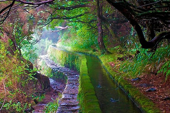 "25 Fountains" Walk / Lost In The Beautiful Forest - Entering the Rabaçal Valley and finding Cascada da Risco first