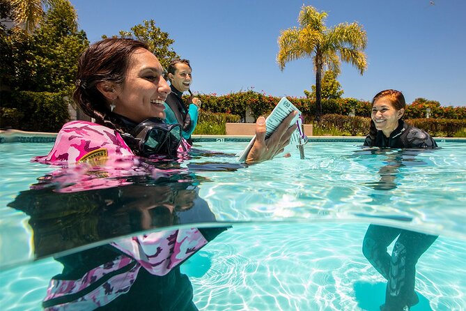 3 days Open Water Course | Scuba Diving - Key highlights worth booking around