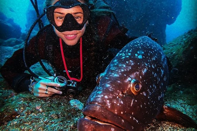 3 days Open Water Course | Scuba Diving - Why Funchal works so well for SSI open-water training