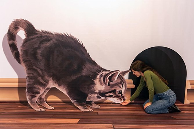 3D Fun Art Museum Funchal - Where This 3D Fun Art Museum Fits in Your Madeira Day