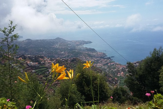4x4 Safari Half day Poncha, Mountains, Vineyards and Cabo Girão Small group - Price and value: is $60.34 worth it?