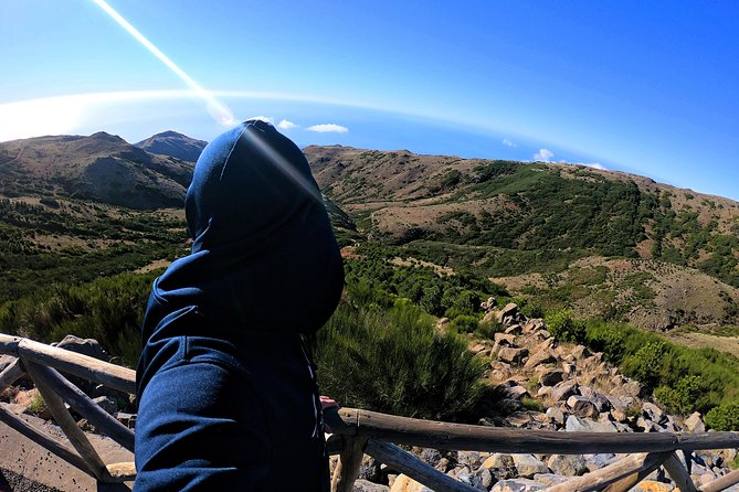 Achada do Teixeira to Pico Ruivo in Madeira (PR1.2) - Hiking Tour - Walking into the forest, Natura 2000 and the details you’ll actually notice