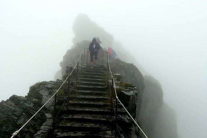 Achadas Teixeira- Pico Ruivo -& Pico pedras/Queimadas forest walk - Price and value: does $54.42 make sense for this hike?