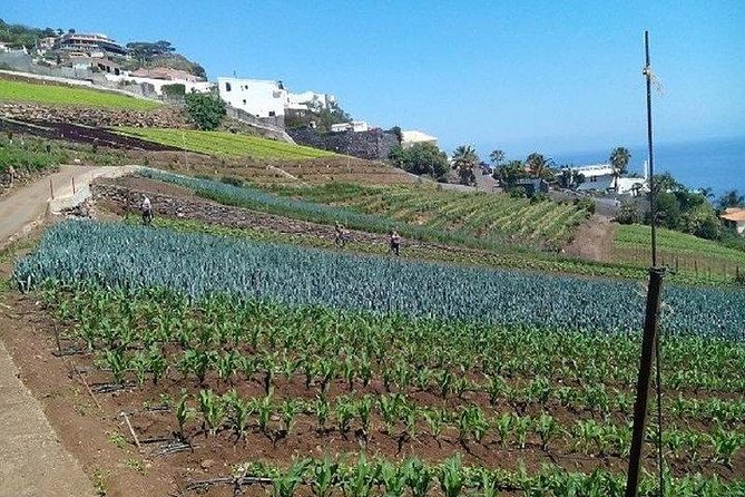 Agriculture Green Tour - Price and What You Really Get for $100.55