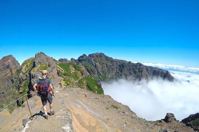 All Madeira In 2 Days Tour - Pickup, transport style, and why waiting time can affect your mood