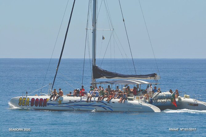 Amazing Skywalk, Wine Tasting & 4x4 Adventure + Dolphin Watching - A full Madeira day split into 4x4 jeep time and a catamaran cruise