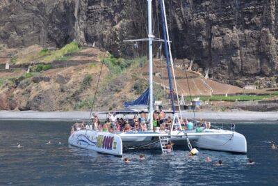 Amazing Skywalk, Wine Tasting & 4×4 Adventure + Dolphin Watching