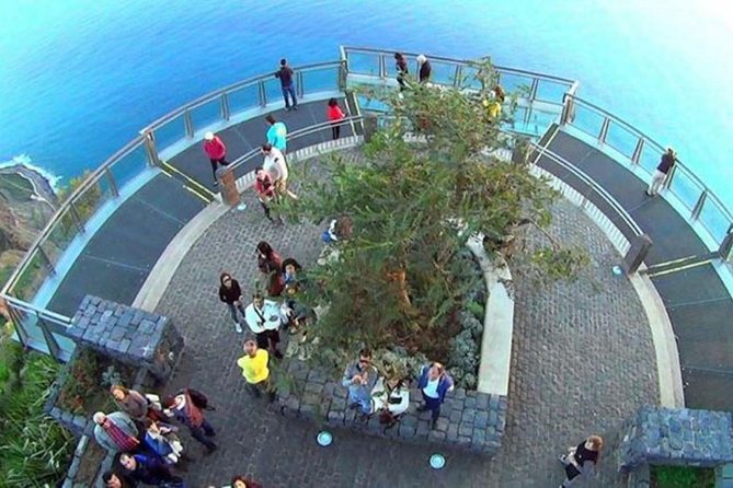 Amazing Skywalk, Wine Tasting & 4x4 Adventure + Dolphin Watching - Funchal Harbor and the dolphin and whale watching catamaran