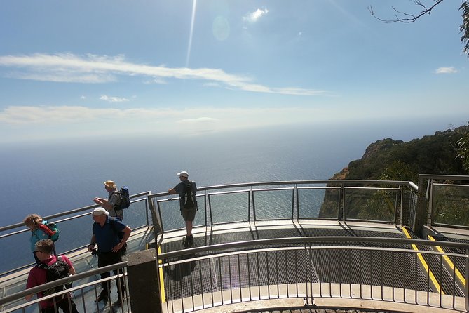 Amazing Skywalk, Wine Tasting & 4x4 Adventure + Dolphin Watching - How the day flows, and where lunch fits