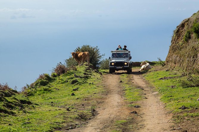 Amazing West - Jeep Safari Tour - Full Day - Shared Tour - Key highlights worth planning around