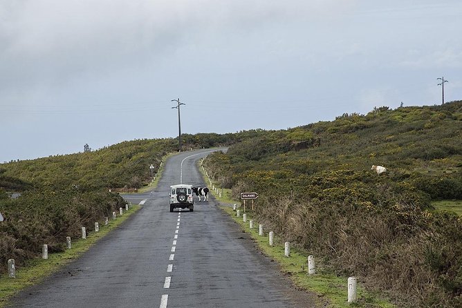 Amazing West - Jeep Safari Tour - Full Day - Shared Tour - The 1,400-meter plateau stop: where the clouds steal the show
