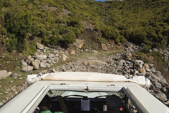 Amazing West - Jeep Safari Tour - Full Day - Shared Tour - Fanal Forest at Posto Florestal Fanal: your included nature wonder