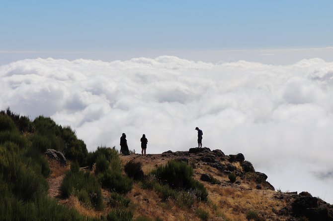 Arieiro Peak, Santo Serra, Cristo Rei in Open Roof 4x4 Experience - Who This Tour Is Best For
