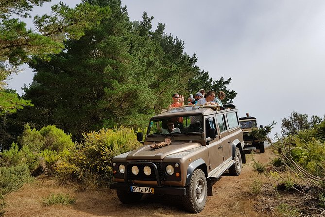 Arieiro Peak, Santo Serra, Cristo Rei in Open Roof 4x4 Experience - Largo do Miranda S, 359 m: Your Easy Warm-Up View