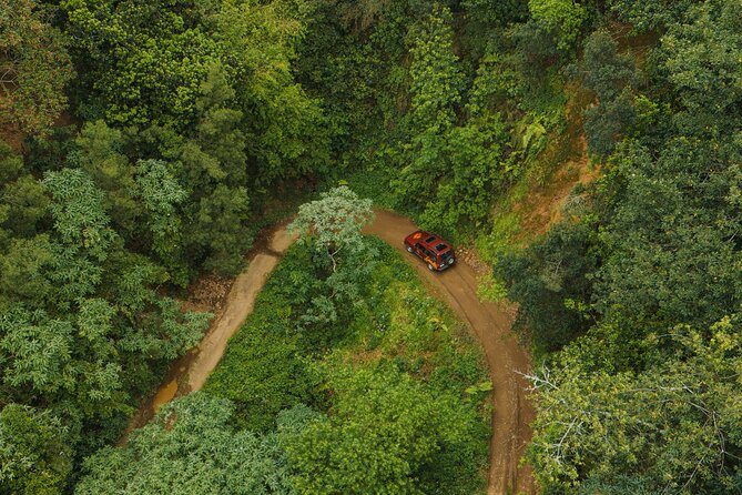 Bespoke adventure in Madeira with pick-up - Madeira highlights you might tackle, from tunnels to waterfall moments