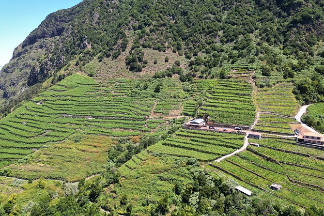 Bestselling Wine Tour, Tasting Experience & Skywalk 4x4 Adventure - Cabo Girão and the Skywalk Stop You’ll Remember