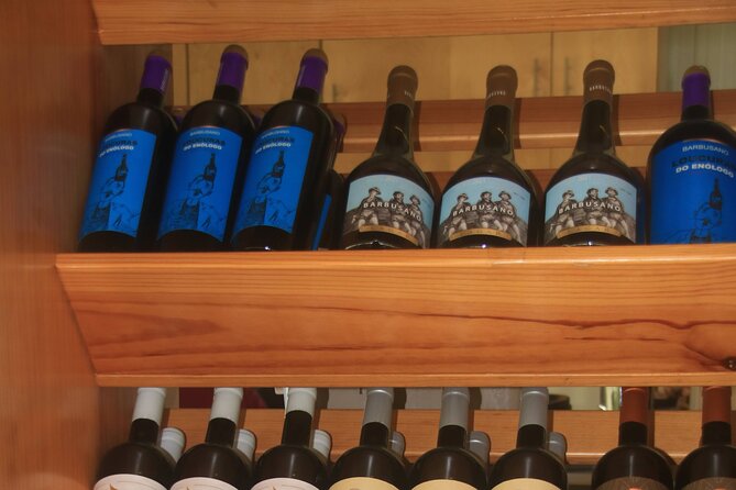 Bestselling Wine Tour, Tasting Experience & Skywalk 4x4 Adventure - Câmara de Lobos: Colorful Houses and a Real Fishing Village Vibe