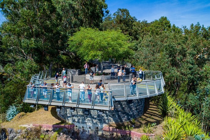 Bestselling Wine Tour, Tasting Experience & Skywalk 4x4 Adventure - Pickup in Funchal and Caniço, Plus the Cruise-Port Catch