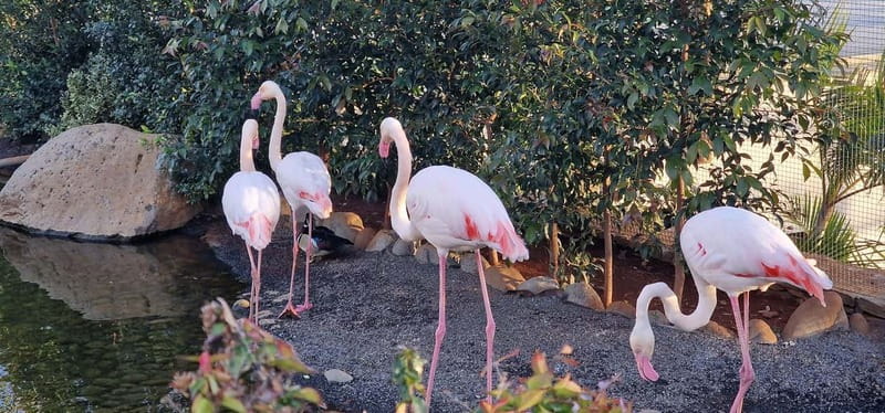 Bird Island sweet west tour - 6 Hours, 8 People, and Practical Notes Before You Go