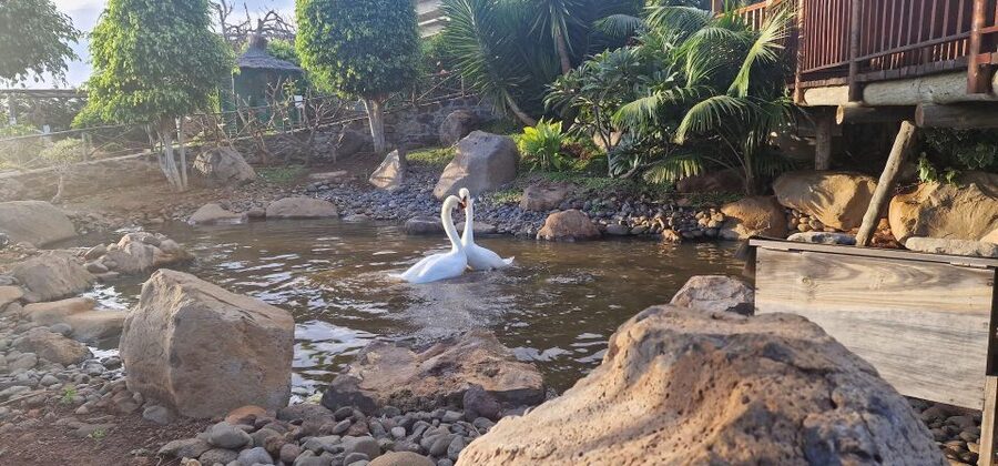 Bird Island sweet west tour - Should you book the Bird Island Sweet West Tour?