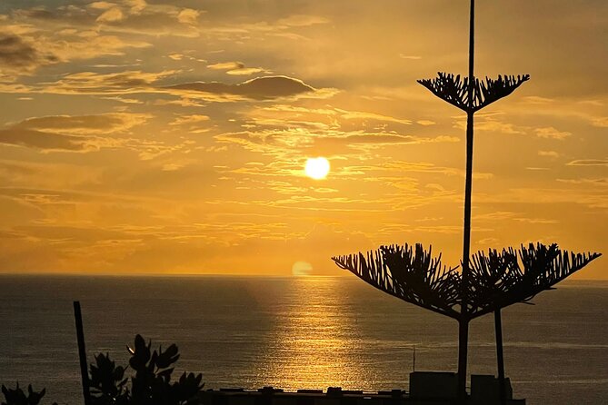CABO GIRÃO (Half Day tour/3h) / Private Classic Car (4L). - The Renault 4L Ride: Fun, Compact, and Best with Expectations