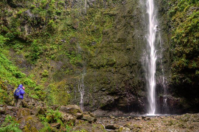 Caldeirão Verde Levada (PR 9) - Guided Madeira Levada Walk - Laurisilva Forest hiking for about 4 hours