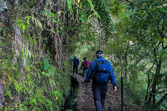 Caldeirão Verde Levada (PR 9) - Guided Madeira Levada Walk - Pace, photo stops, and why return can feel like a march
