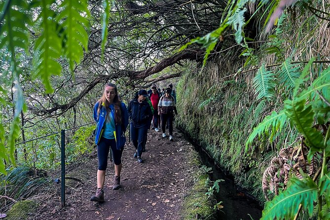 Caldeirão Verde Levada (PR 9) - Guided Madeira Levada Walk - Price and value for about $55, plus the small cash trail fee