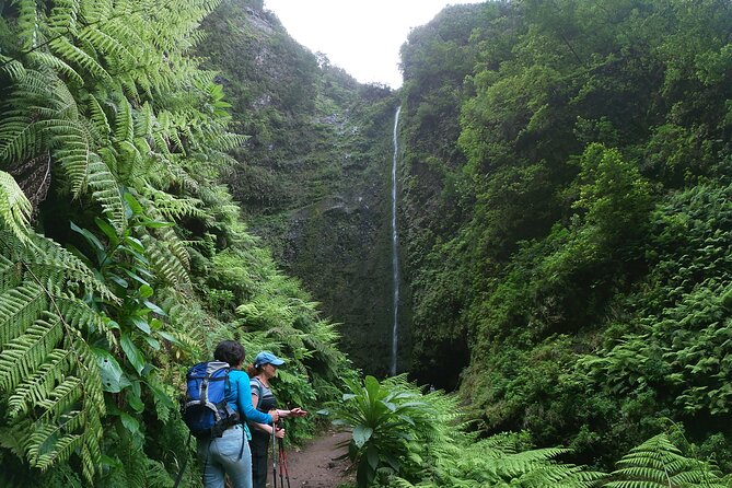 Caldeirão Verde Levada (PR 9) - Guided Madeira Levada Walk - Should you book the Caldeirão Verde Levada Walk PR 9?