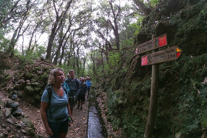 Caldeirão Verde Levada (PR 9) - Guided Madeira Levada Walk - The Caldeirão Waterfall payoff, emerald lagoon views, and tunnel reality
