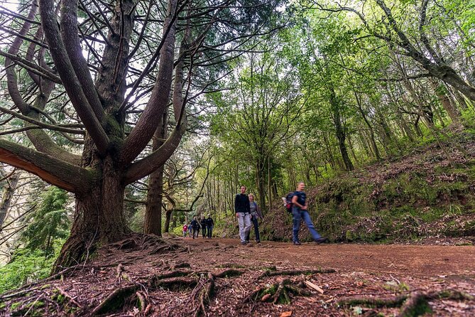 Caldeirão Verde Levadas Walk in Madeira - Tunnels, headroom, and why good footwear matters