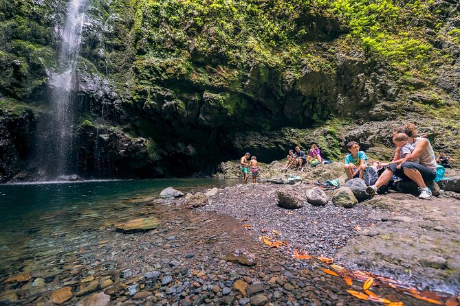 Caldeirão Verde Levadas Walk in Madeira - UNESCO forest ecology: what your guide tends to teach