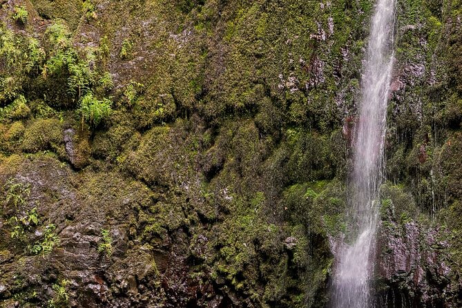 Caldeirão Verde Levadas Walk in Madeira - Pacing, stops, and how to keep your photos from turning into stress