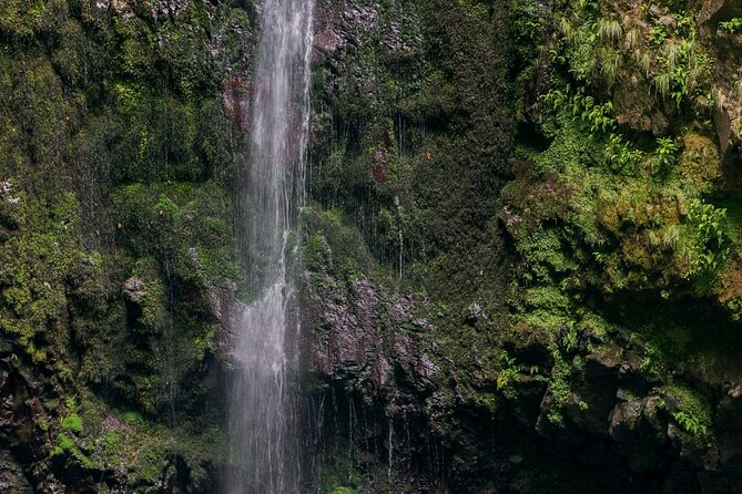 Caldeirão Verde Levadas Walk in Madeira - Price and value: what $52.86 gets you on a full day