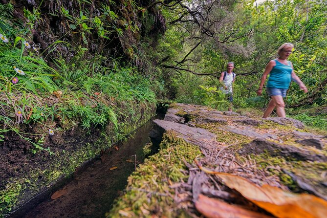 Caldeirão Verde Levadas Walk in Madeira - Who this tour suits best (and who might want to rethink)
