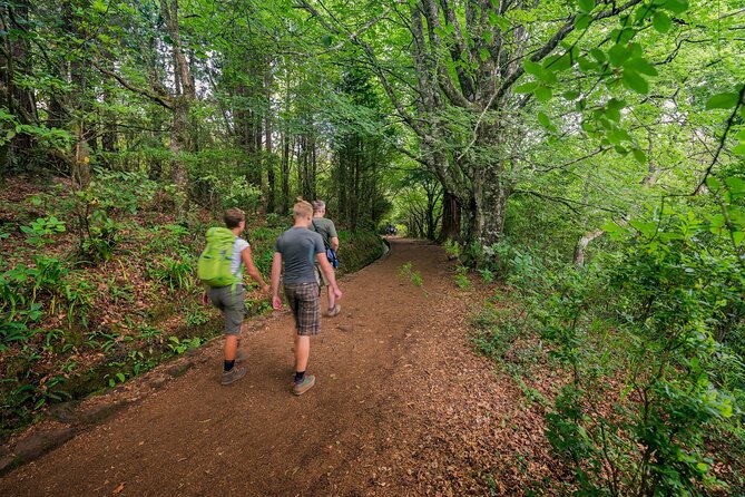 Caldeirão Verde Levadas Walk in Madeira - From Funchal pickup to trail start: how the 7 to 9 hour day feels
