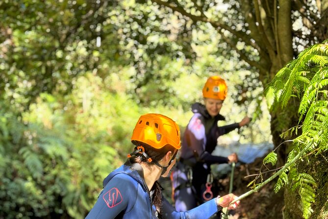 Canyoning at Camacha Madeira Island - Price in context: is $82.84 good value for Camacha canyoning?