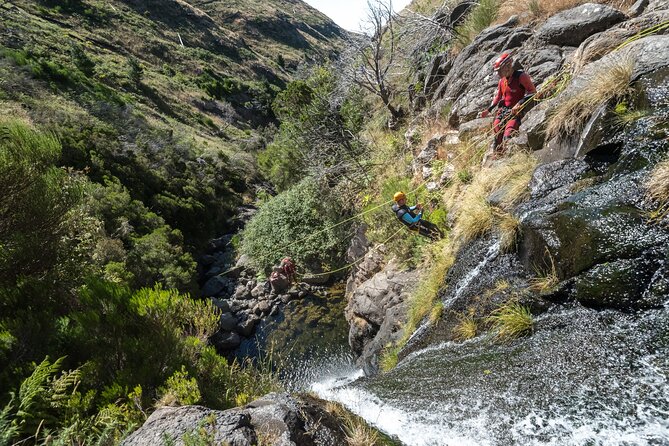 Canyoning in Madeira: Ideal for Beginners and Families - What you get with the guides, and why that safety setup matters