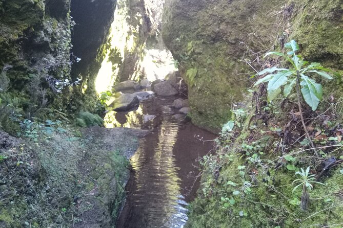 Canyoning Madeira Private/Small group tour - Why canyoning near Funchal feels so fun and so doable