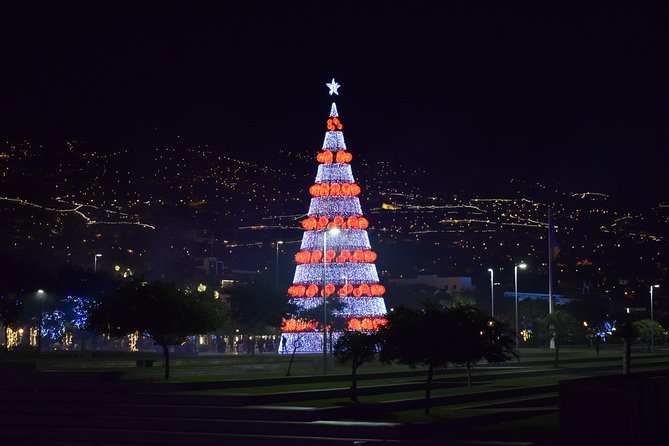 Christmas Lights Tukxi Tour (price per tukxi - up to 5 people) - Why ride a tukxi for Christmas lights in Funchal?