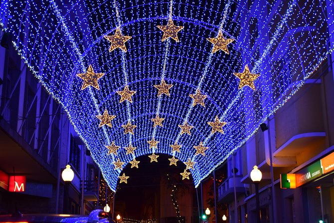 Christmas Lights Tukxi Tour (price per tukxi - up to 5 people) - Timing, pickup, and what one hour feels like