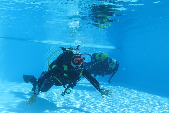 Discover Scuba Diving or Try dive - Madeira’s First-Time Scuba Try-Out, Without the Full Cert Pressure